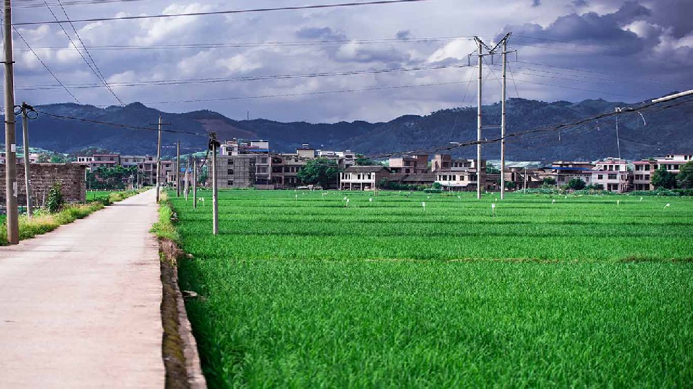 眉山市内蒙古乡村沃畉农业服务购入…