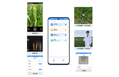 眉山市小麦亩穗数分析仪IN-XM02