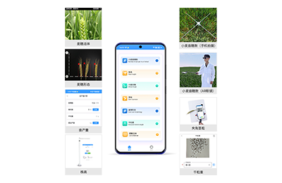 眉山市小麦表型测量仪IN-XM05